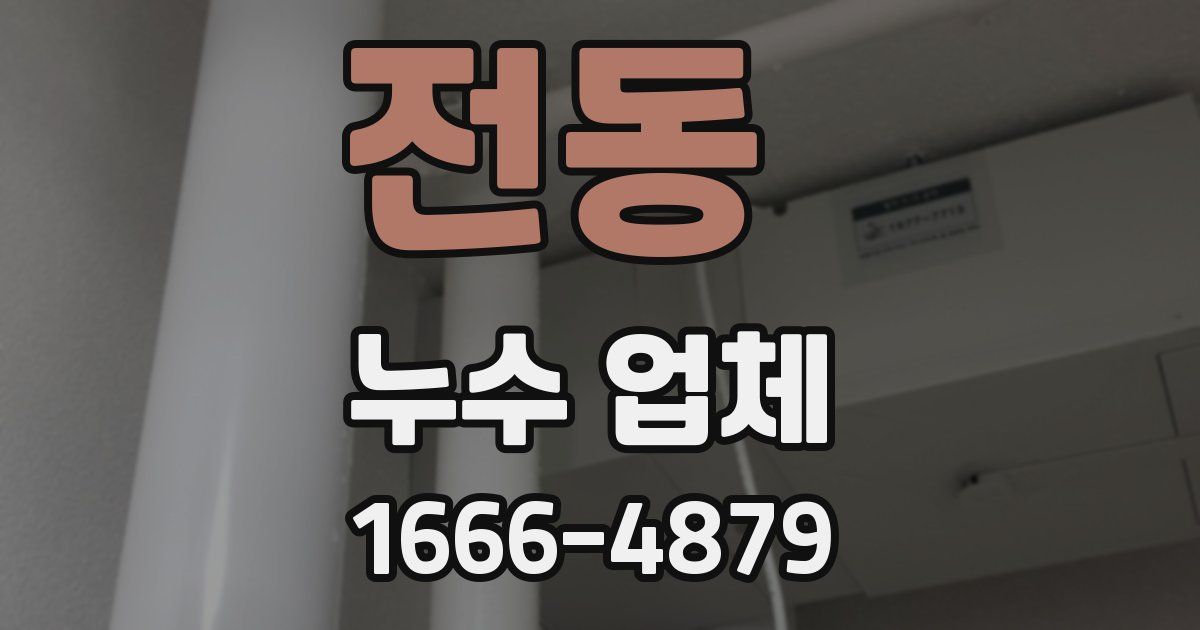 전동 누수 업체