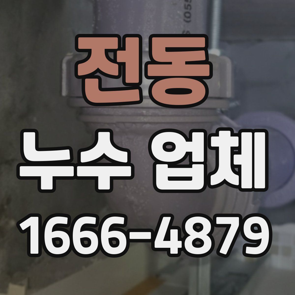 전동 누수 업체