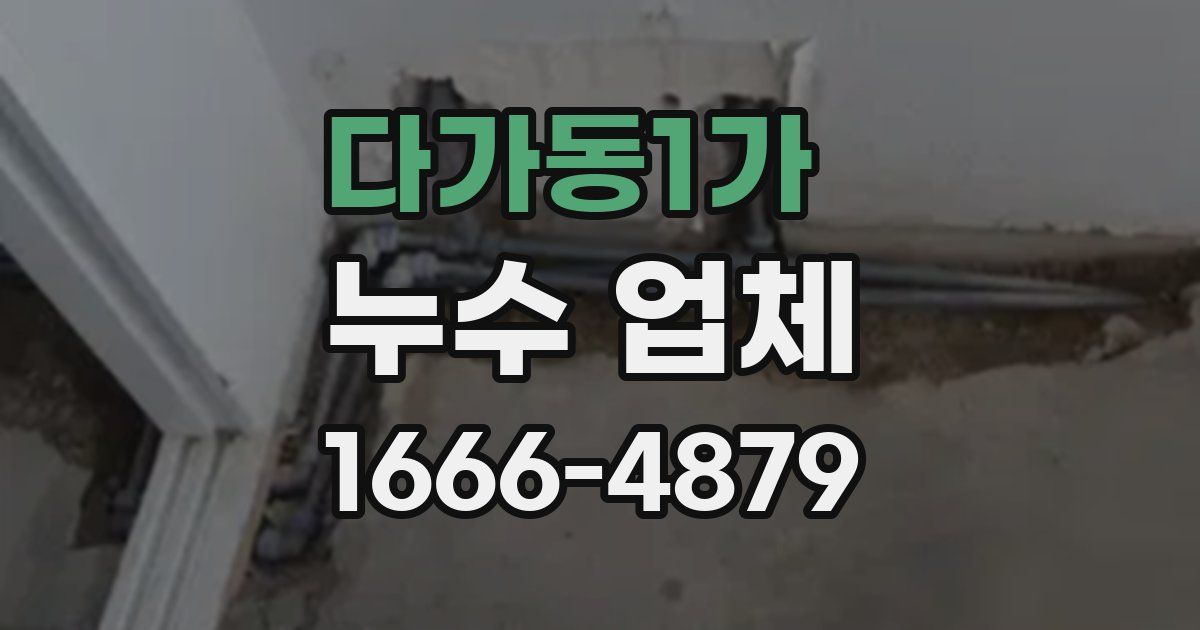 다가동1가 누수 업체