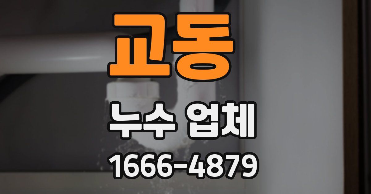 교동 누수 업체