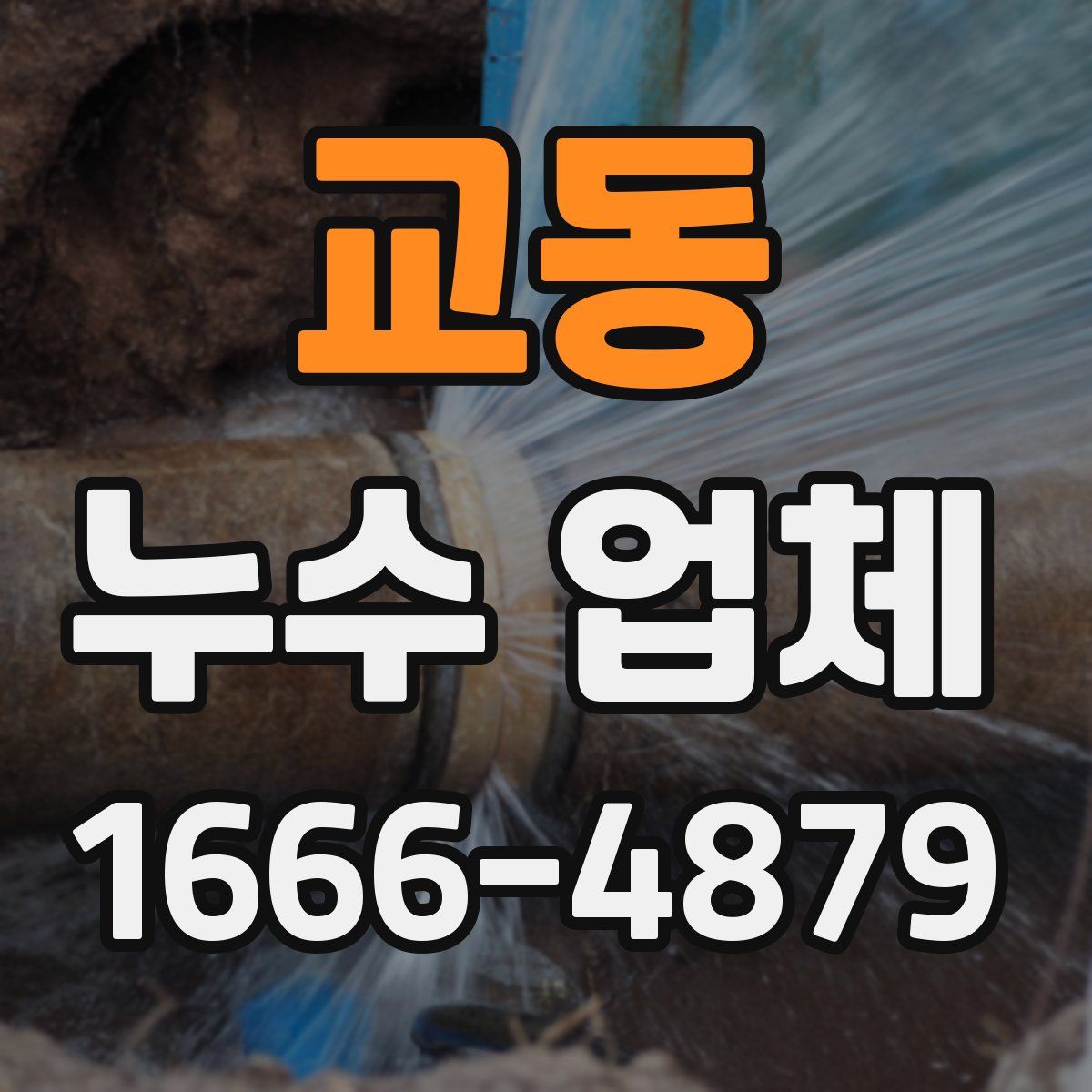 교동 누수 업체
