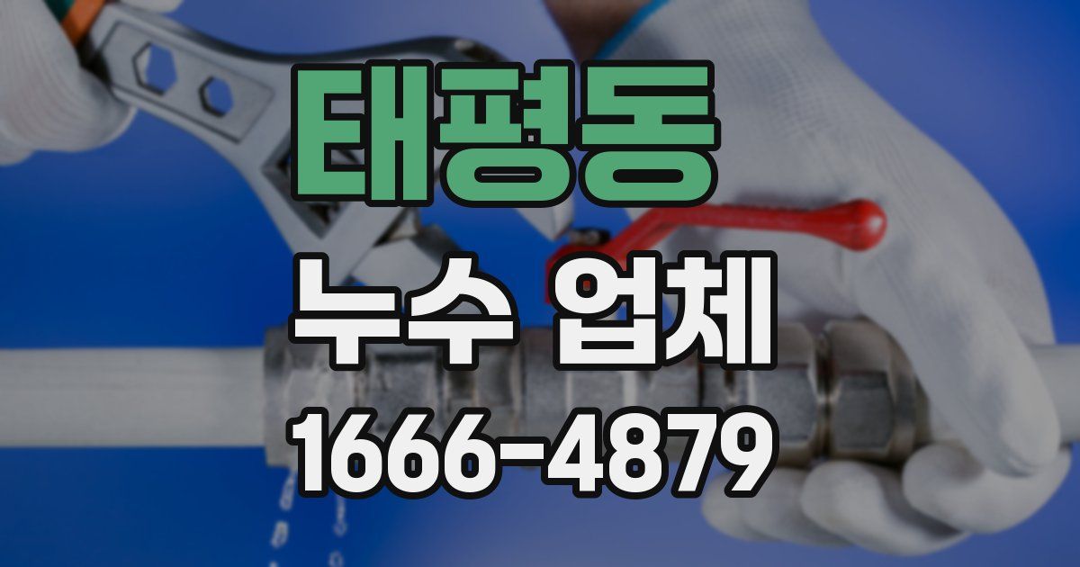 태평동 누수 업체
