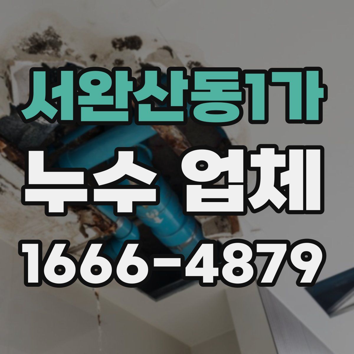 서완산동1가 누수 업체