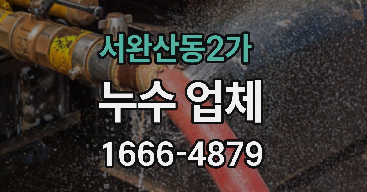 서완산동2가 누수 업체