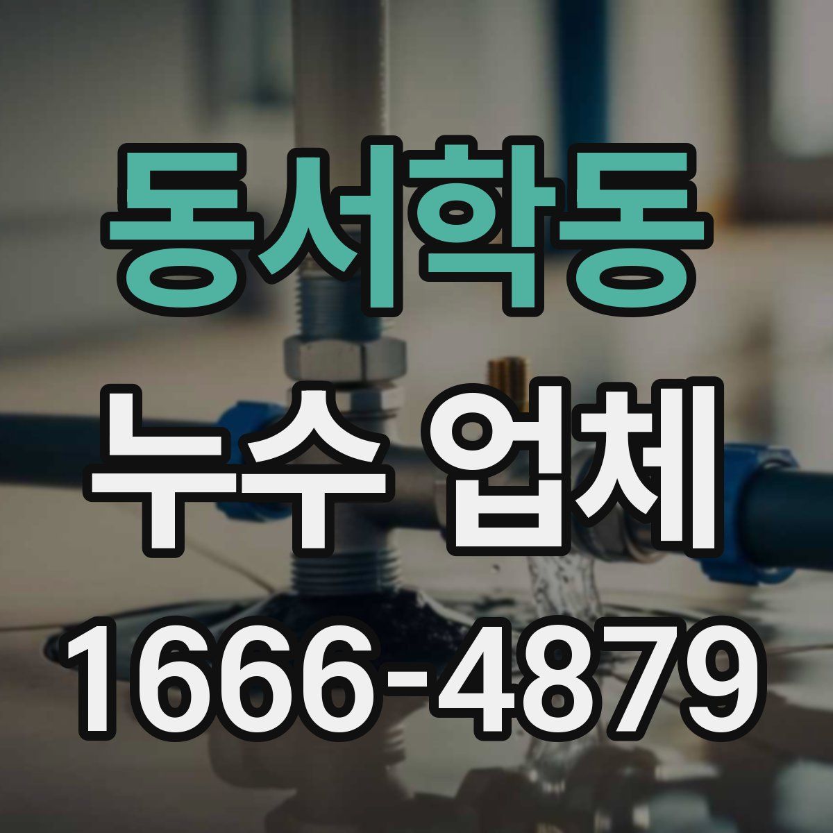 동서학동 누수 업체