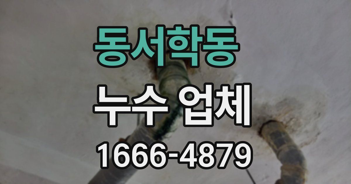 동서학동 누수 업체