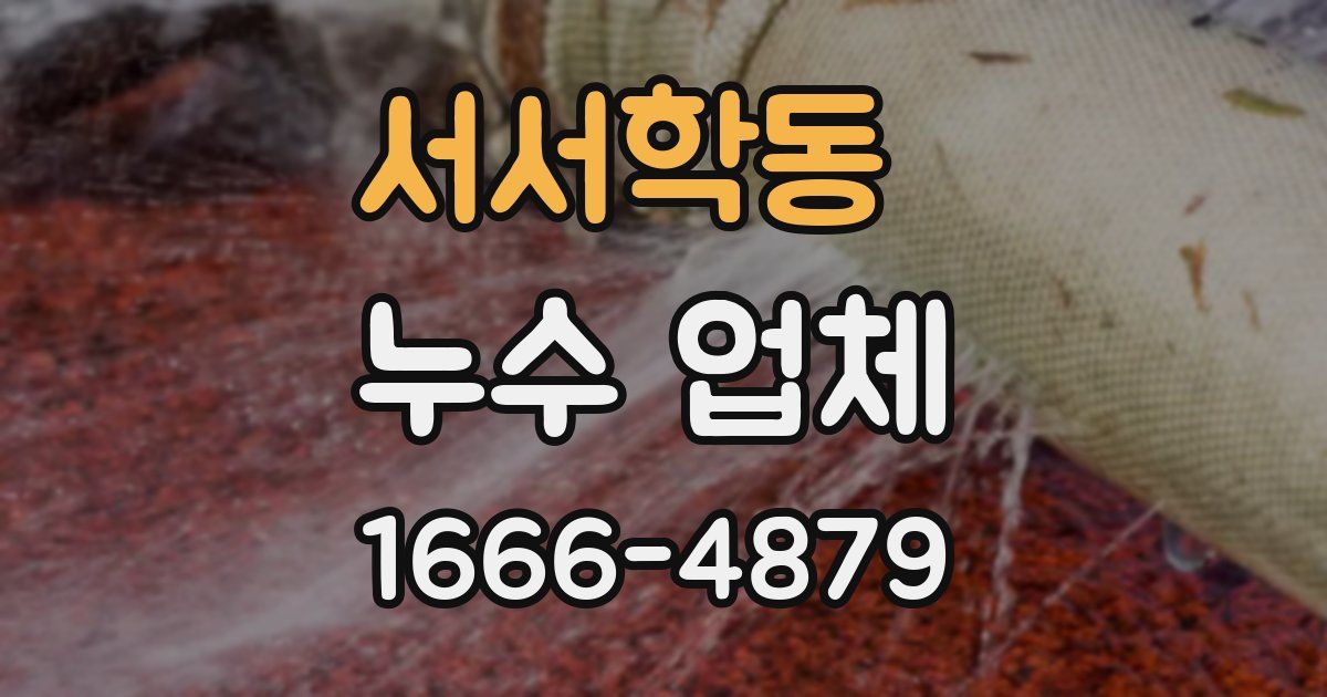 서서학동 누수 업체