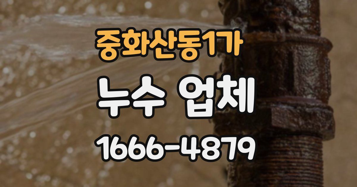 중화산동1가 누수 업체