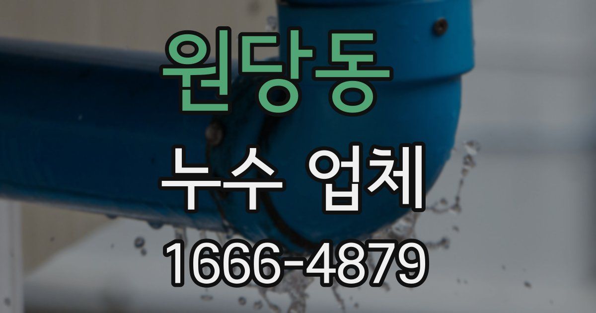 원당동 누수 업체