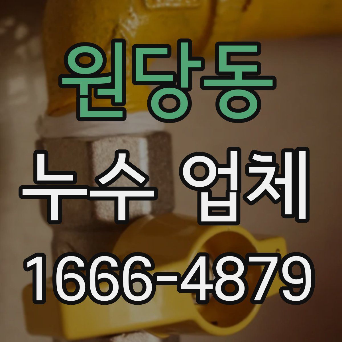 원당동 누수 업체