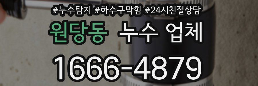 원당동 누수 업체