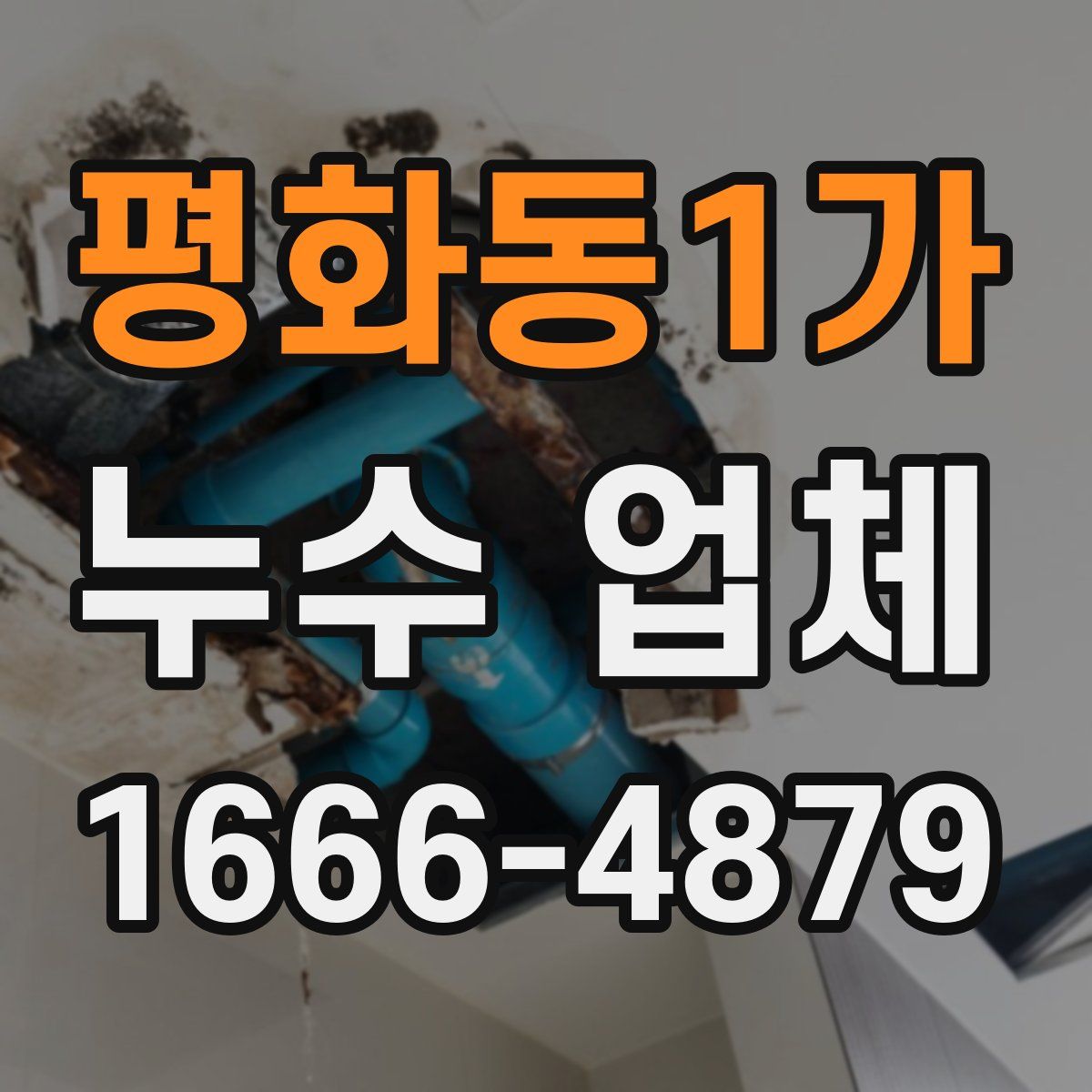 평화동1가 누수 업체