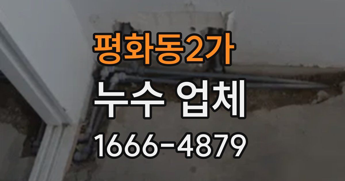 평화동2가 누수 업체
