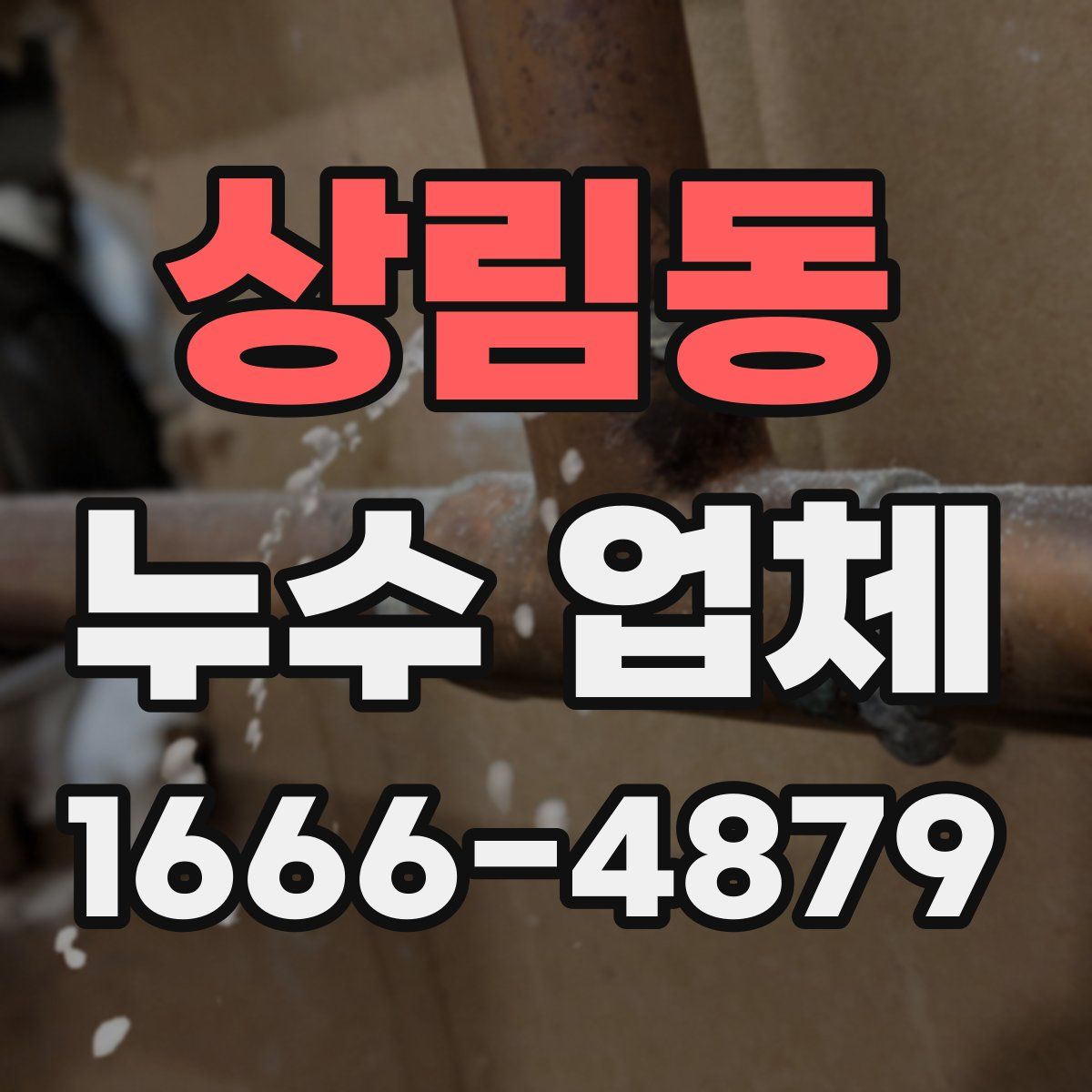 상림동 누수 업체