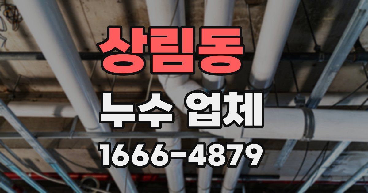 상림동 누수 업체