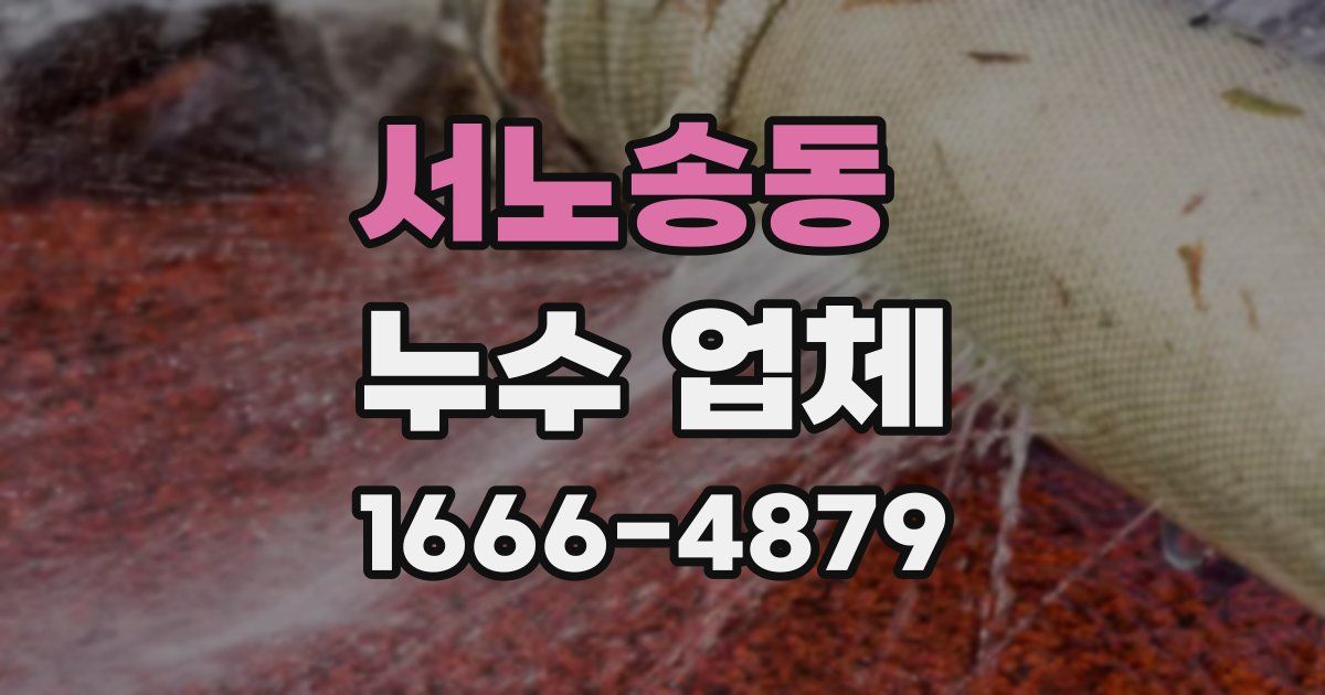 서노송동 누수 업체