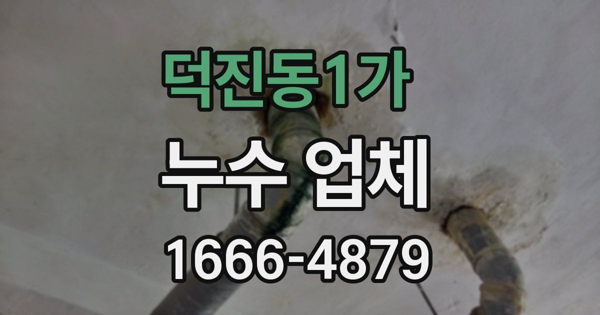덕진동1가 누수 업체