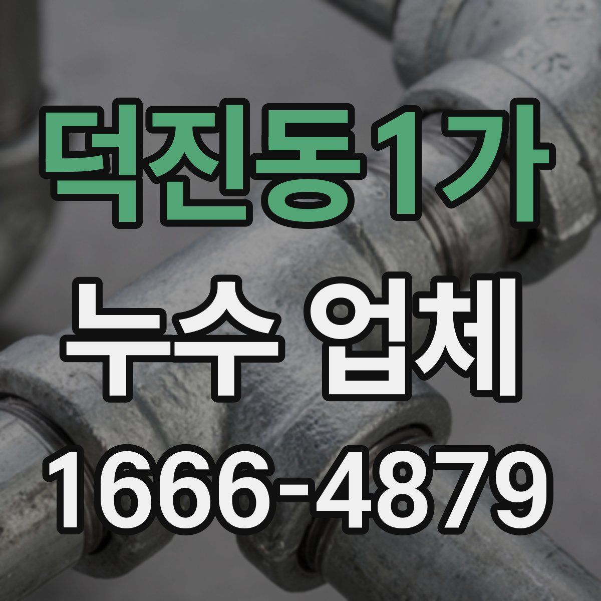 덕진동1가 누수 업체
