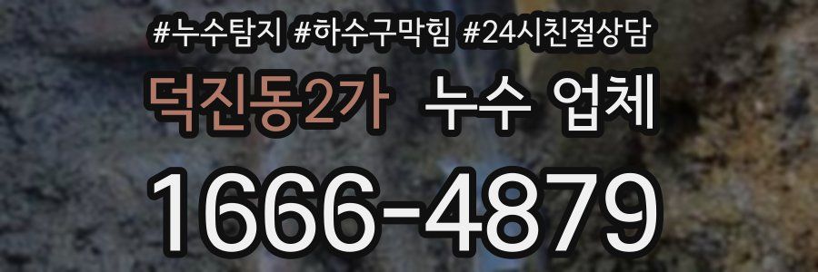 덕진동2가 누수 업체