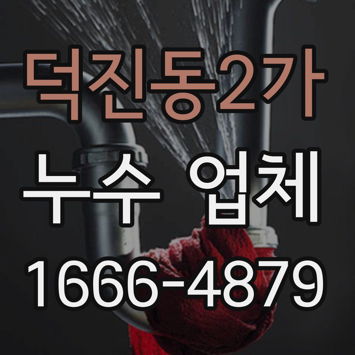 덕진동2가 누수 업체