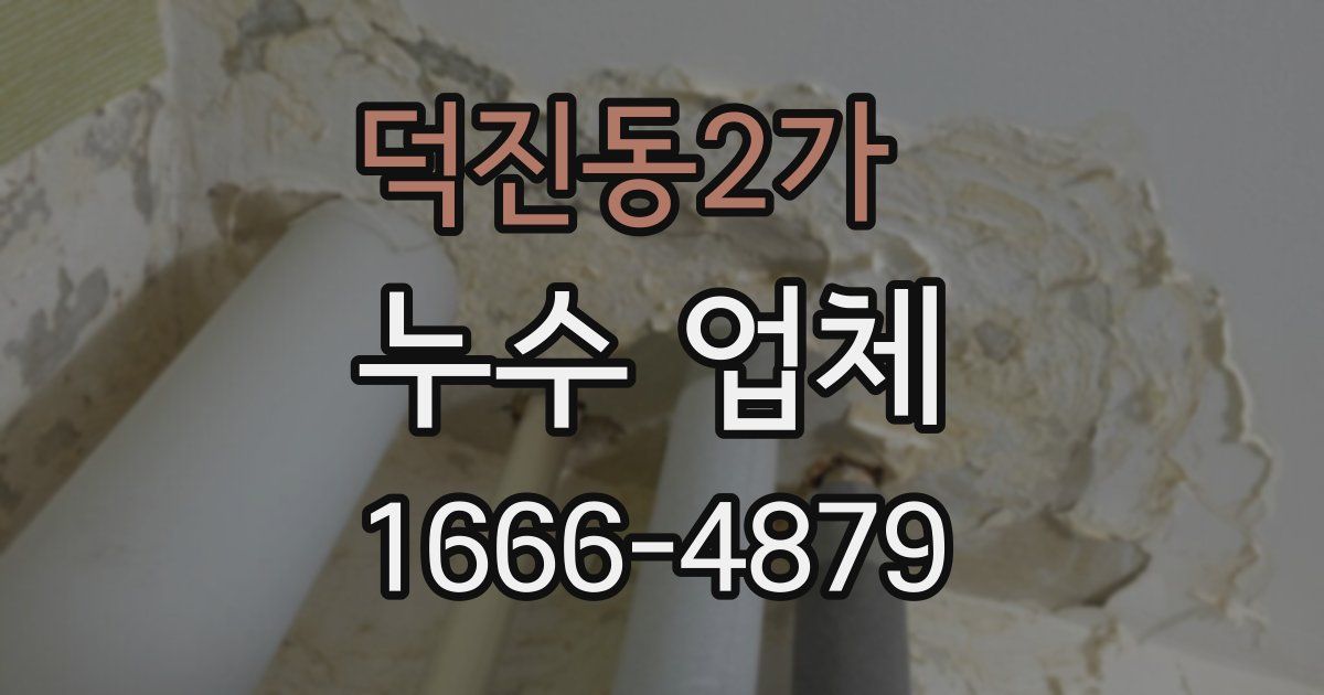 덕진동2가 누수 업체