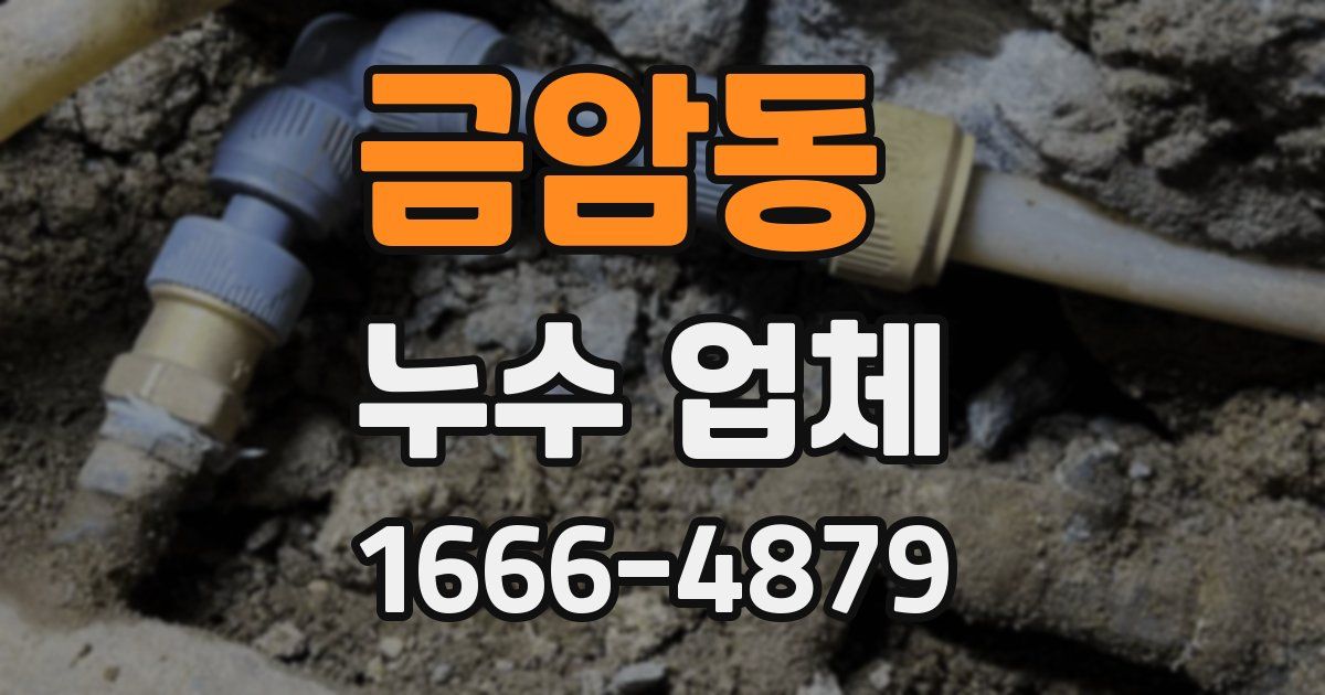 금암동 누수 업체