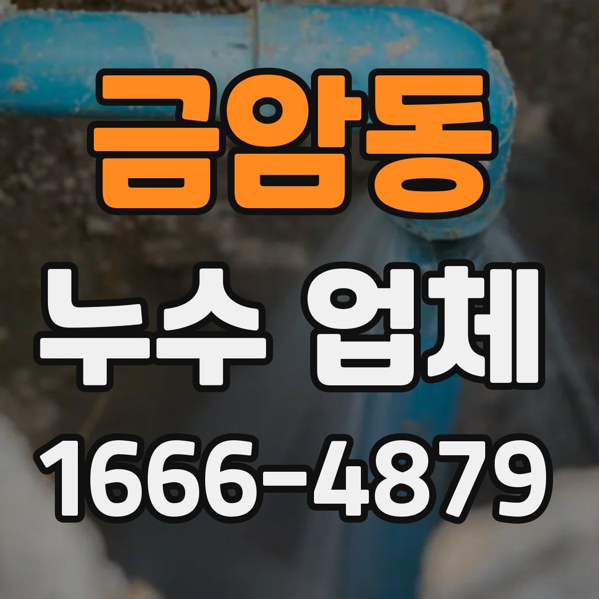 금암동 누수 업체