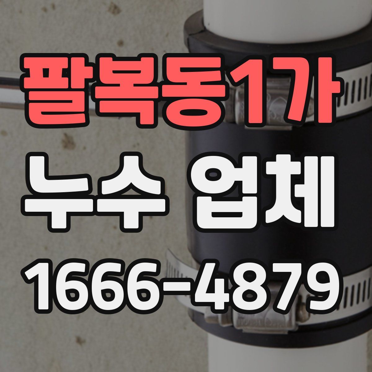 팔복동1가 누수 업체