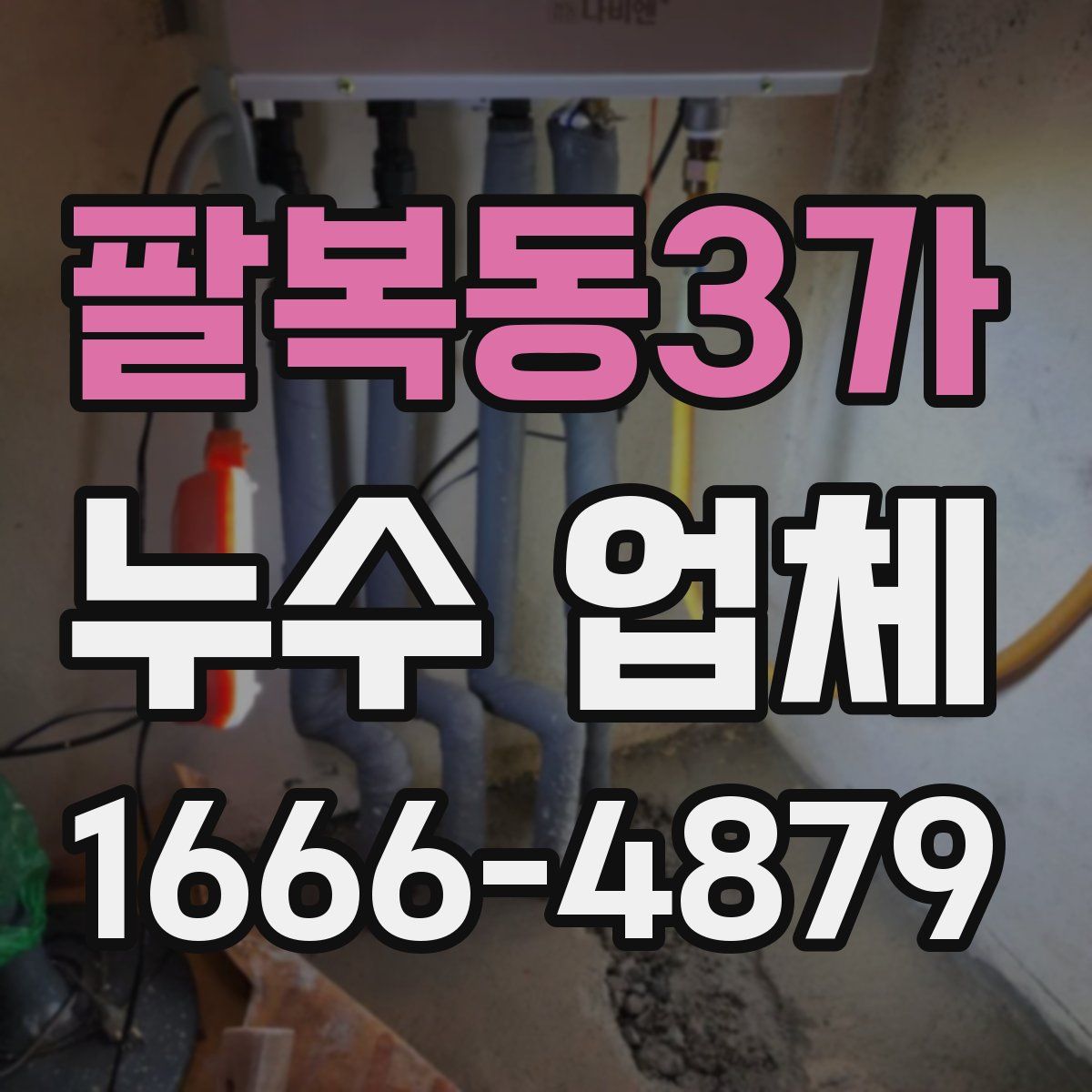 팔복동3가 누수 업체
