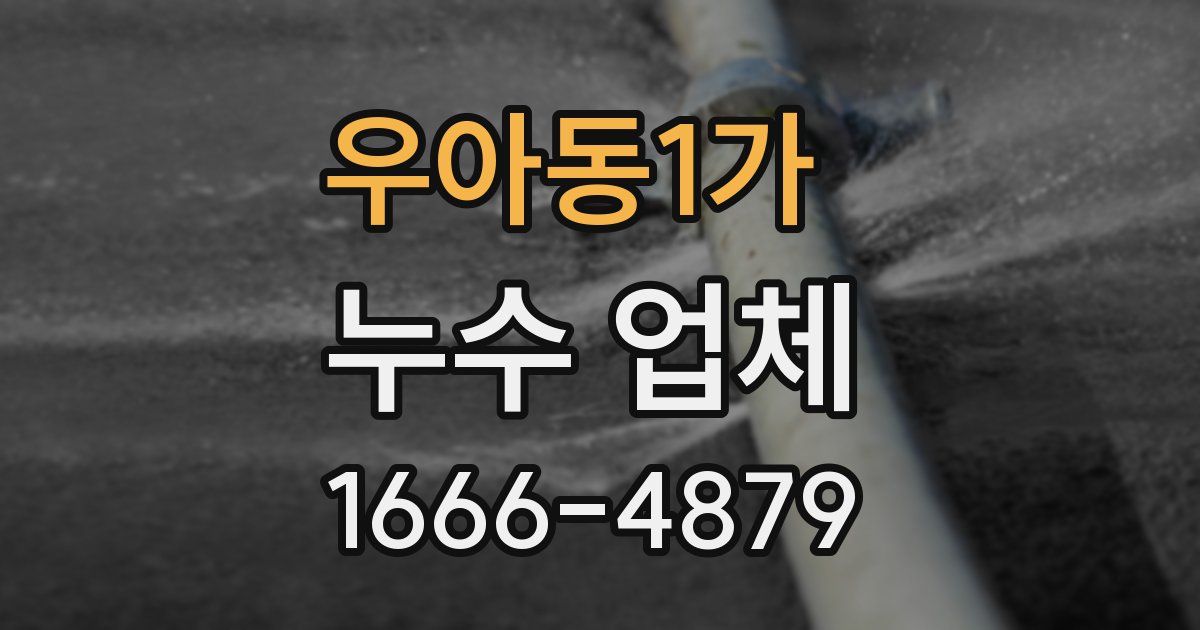 우아동1가 누수 업체