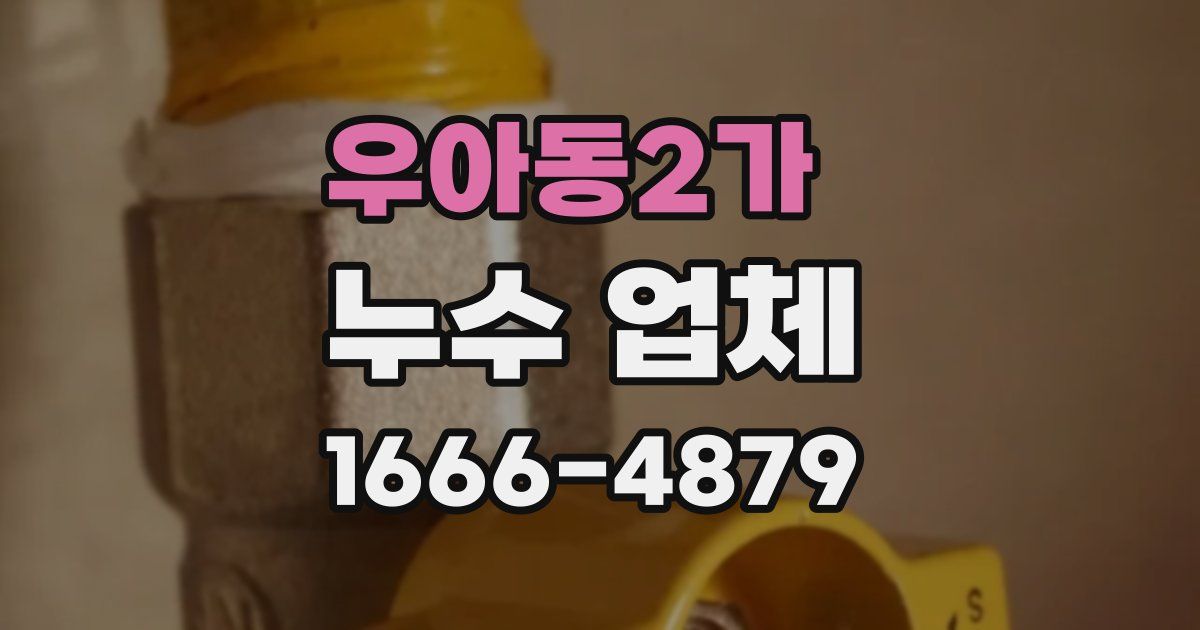 우아동2가 누수 업체