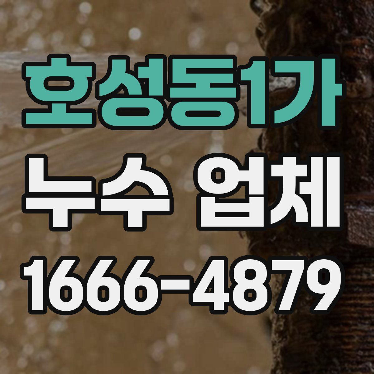 호성동1가 누수 업체