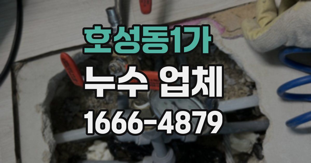 호성동1가 누수 업체