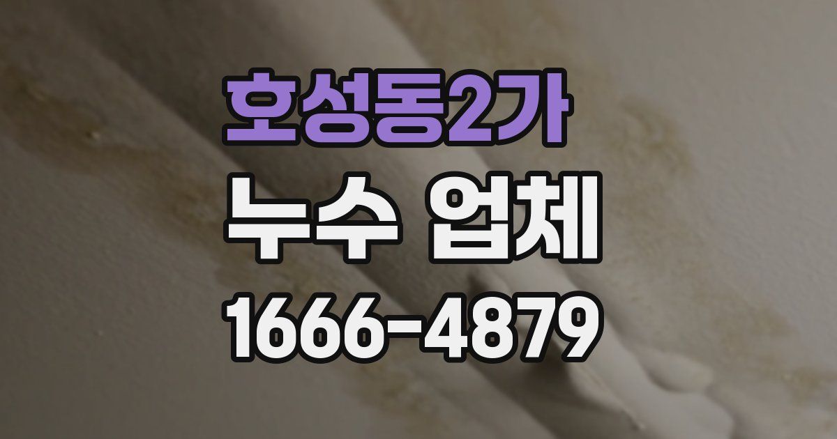 호성동2가 누수 업체