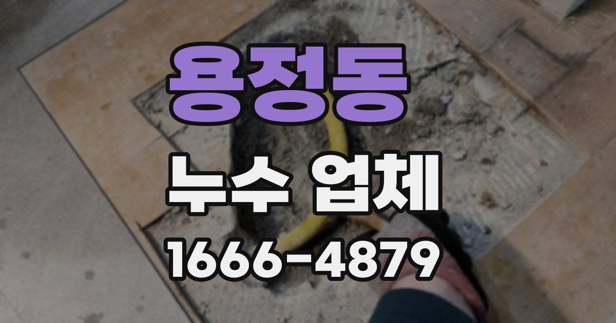 용정동 누수 업체