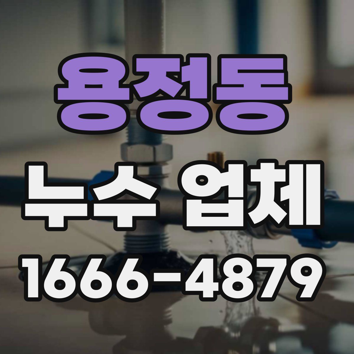 용정동 누수 업체