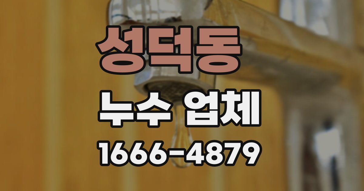 성덕동 누수 업체