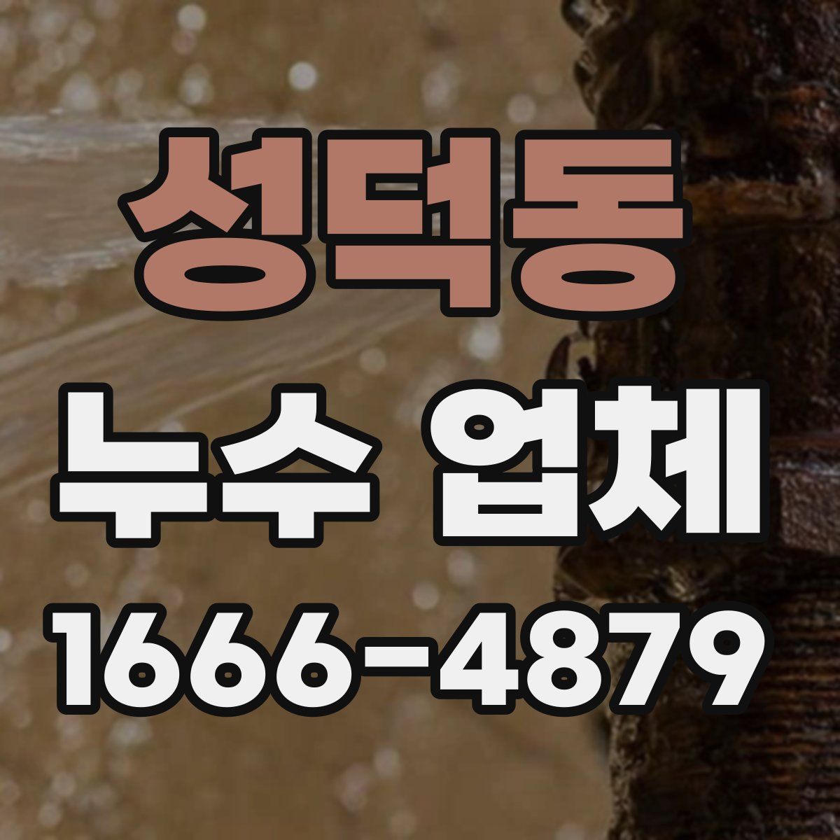 성덕동 누수 업체