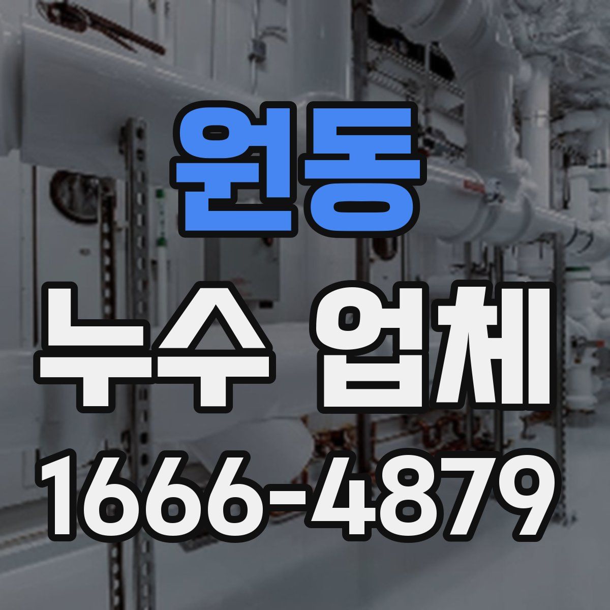 원동 누수 업체