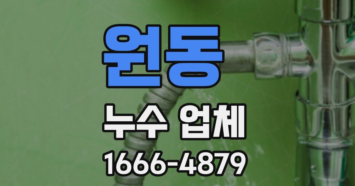 원동 누수 업체