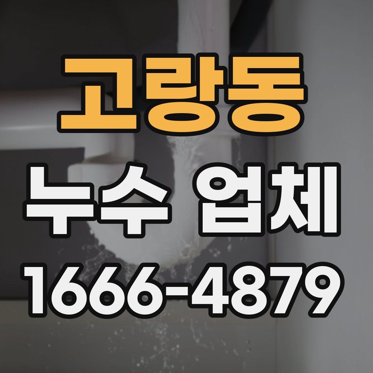 고랑동 누수 업체
