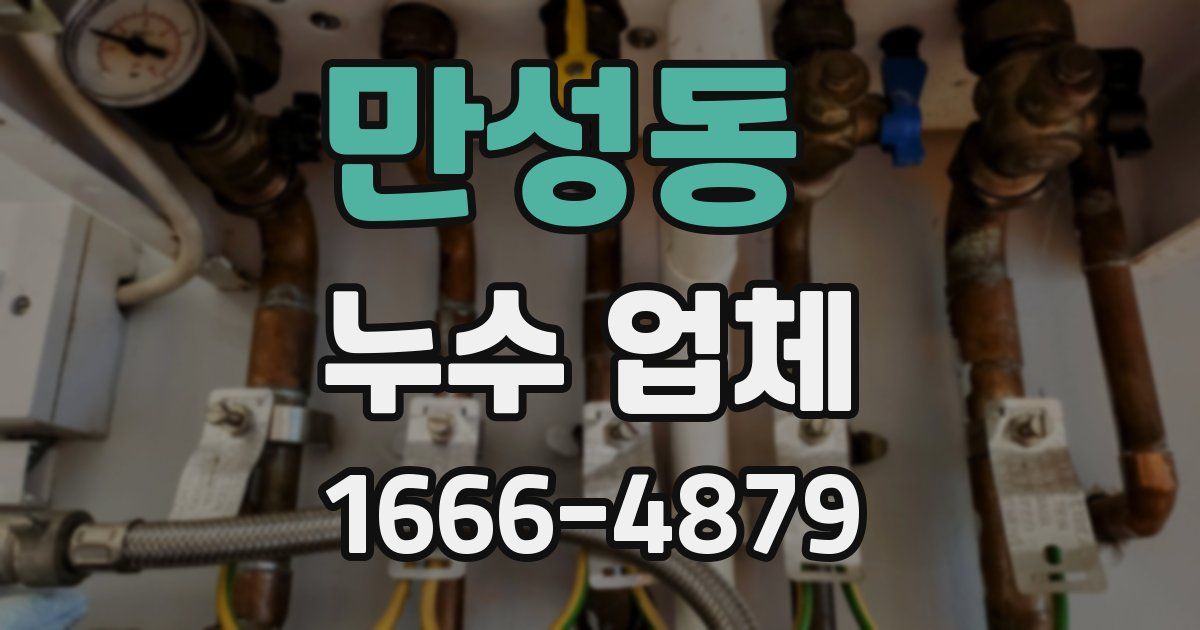 만성동 누수 업체