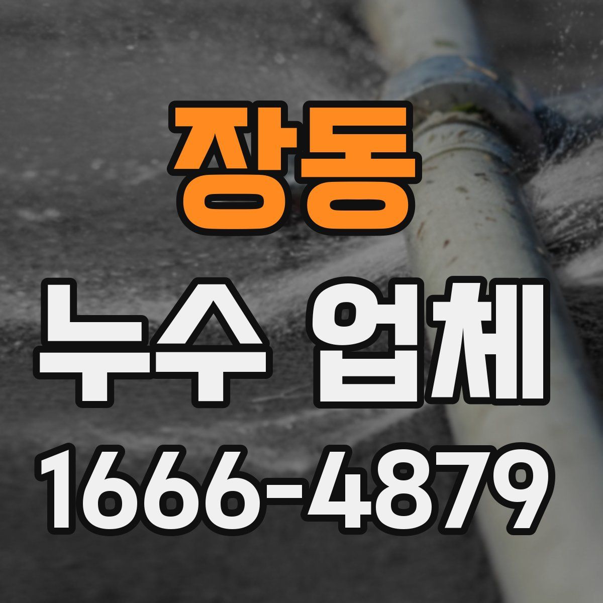 장동 누수 업체