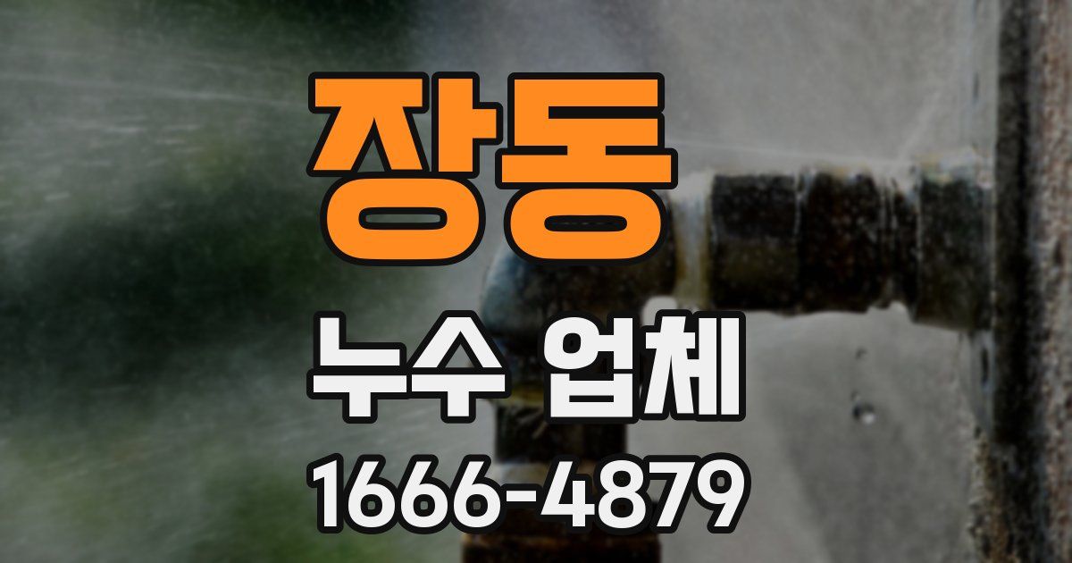 장동 누수 업체