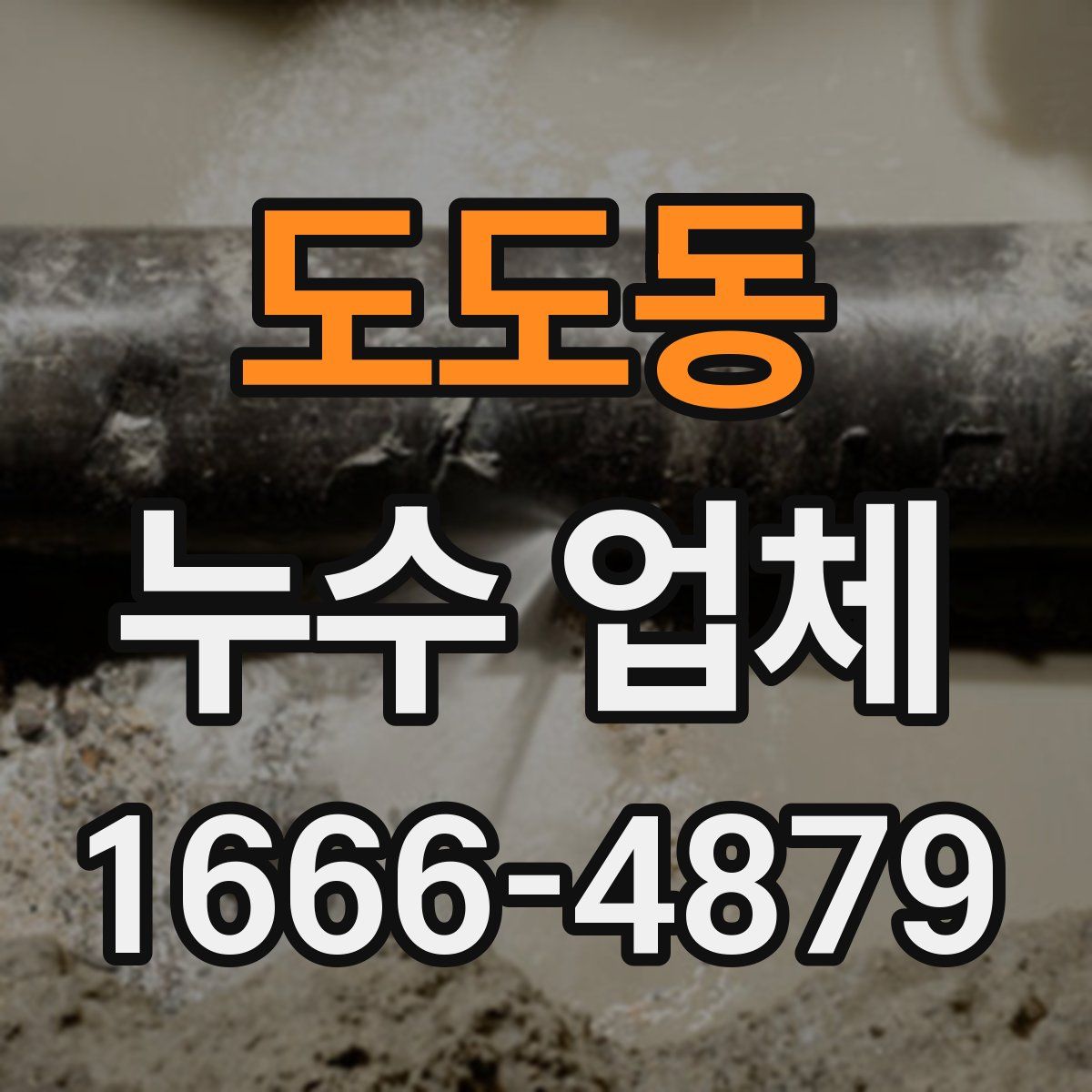 도도동 누수 업체