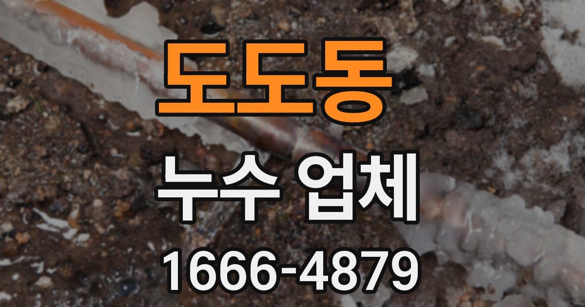도도동 누수 업체
