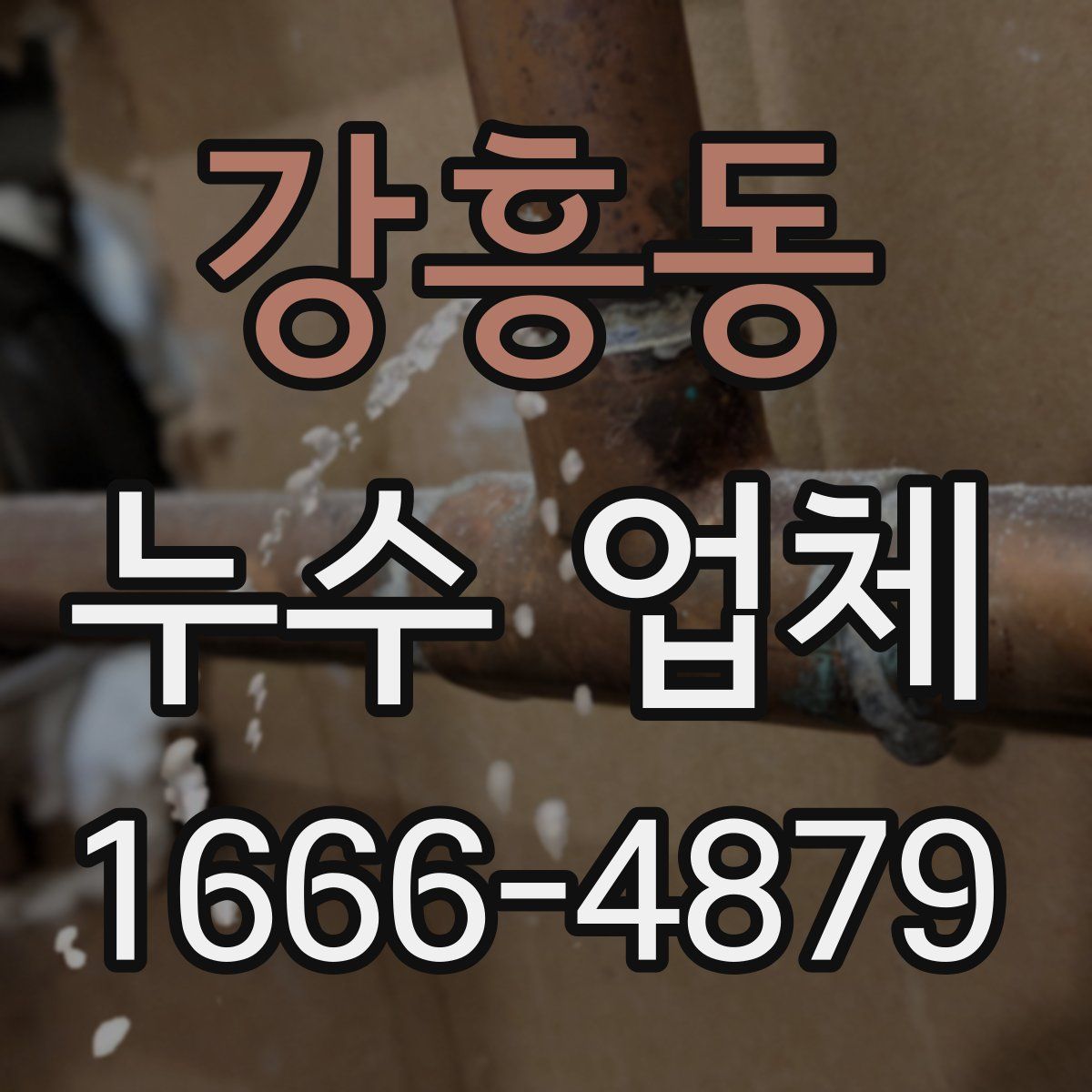 강흥동 누수 업체