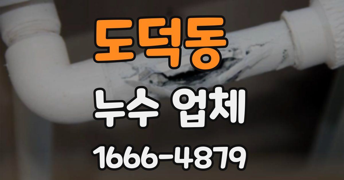 도덕동 누수 업체