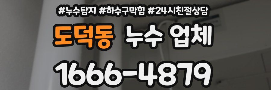 도덕동 누수 업체