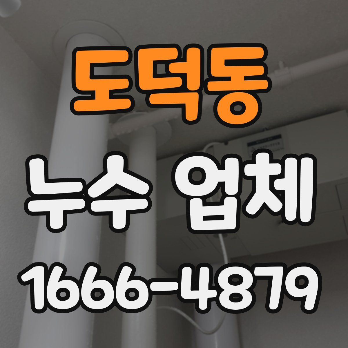 도덕동 누수 업체